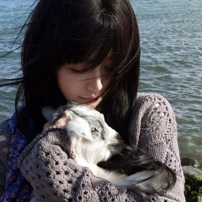 婉君表妹